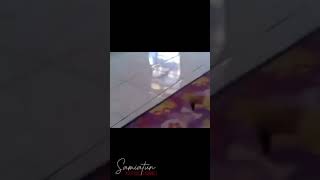 Download lagu KERIS TARUNG mp3