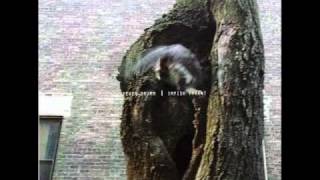 Kevin Drumm - Impish Tyrant