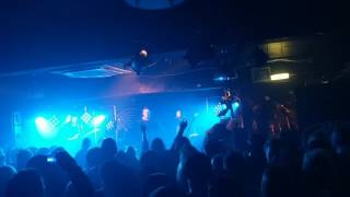 The Dykeenies - Stitches (live)