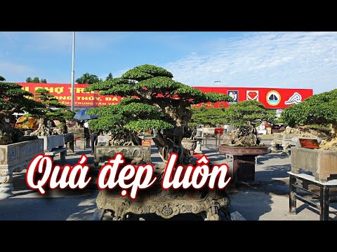 SH.6445. Siêu phẩm Tọa Sơn quan lưu thủy đẳng cấp tại triển lãm Bắc Ninh.