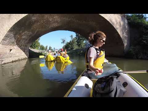 Excursie cu canoea | Bega Sălbatică - Episodul 4 | Coșteiu - Chizătău