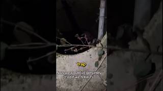 Whatever You Do, Don't Look Down...