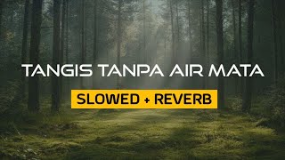 Download lagu TANGIS TANPA AIR MATA (slowed reverb) mp3