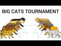 THE BIG CATS TOURNAMENT ANIMATION