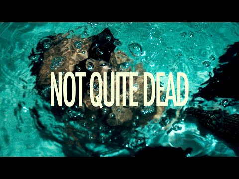 Dabbla x JaySun - Not Quite Dead (Official Video)