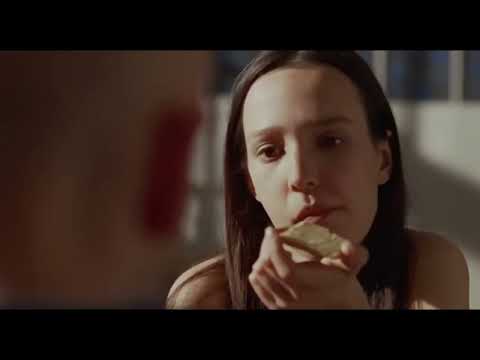 Chacun cherche son chat - Un nouveau colocataire