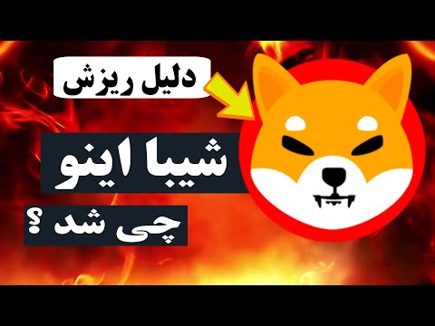 چه اتفاقی برای شیبا اینو افتاد ؟ دلیل ریزش قیمت شیبا ؟ اتفاقات شیبا اینو بعد از لانچ شییاریوم