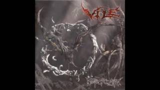 Vile - Interrogation Rites