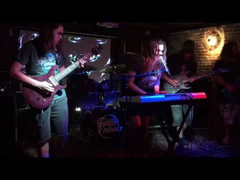 Frantic Endeavor - Let's Dance Live at Opus