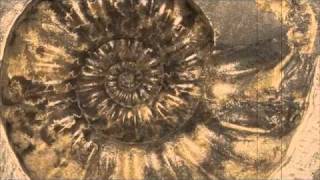 Cages - David Lowery