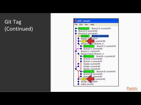 Conquering Git Advanced Training Guide The Course Overview | packtpub com
