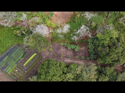 Minha chácara no cerrado mineiro 
