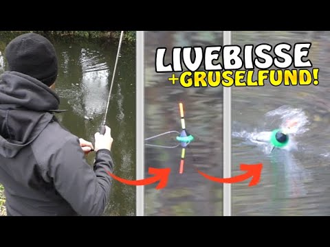 GRUSELFUND beim Angeln & LIVEBISSE ohne Ende! OSA in Mission