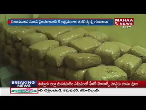 Police Caught Ganja Mafia Gang At Ranga Reddy district | Mahaa News