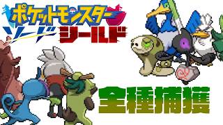 ポケモン全917匹集めるまで終われない旅 Part13【剣盾】