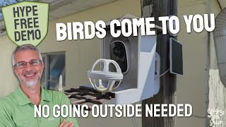 Watch Backyard Birds From Your Chair - Solar Camera Feeder