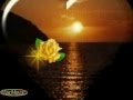 Bruno Lauzi Amore Caro Amore Bello Cover