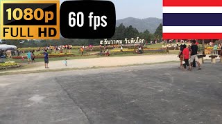 preview picture of video 'Walking Around Travel Sunflower Field, Khao Cha-Ngum, Photharam, Ratchaburi, Thailand [1080p 60FPS]'