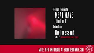 Meat Wave - Birdland (Official Audio)