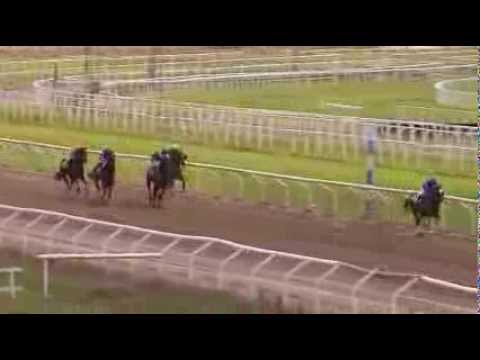 Energia Dust vence fácil na Suécia. Energia Colonial garante dobradinha verde-amarela