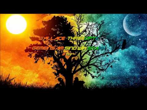 WALLACE THREEOPTIC   GEMEINSAM SIND WIR STARK 20 05 16