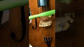 Download lagu サン=サーンス「白鳥」(青ネギバージョン)Saint-Saëns-Le Cygne「The Swan」(Green onion version) mp3 Download lagu サン=サーンス「白鳥」(青ネギバージョン)Saint-Saëns-Le Cygne「The Swan」(Green onion version) mp3