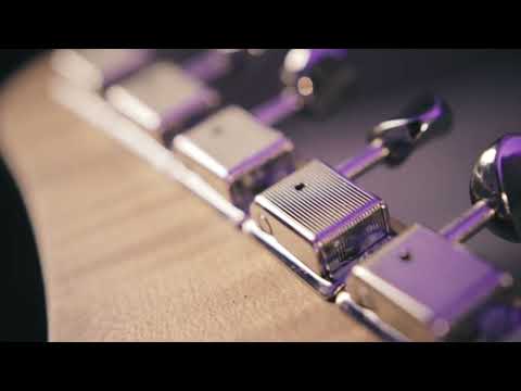 Diliberto Custom Telecaster Pickups 2025 - Gold Foil image 6