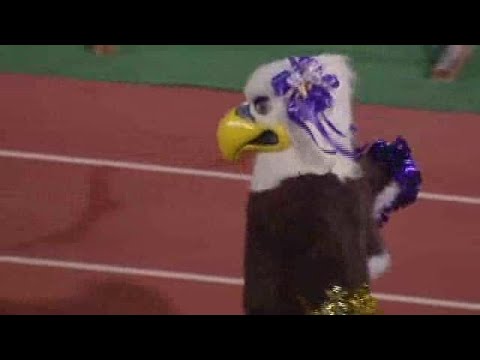 BGC Week 11 - Brackenridge vs Burbank