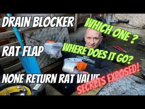 RAT BLOCKER / RAT FLAP を装着しましたか?まだRATSがいますか?暴露 - 知っておくべき5つの理由!
