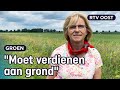 Akkerranden inzaaien? "Zonder vergoeding doet geen boer dat" | RTV Oost