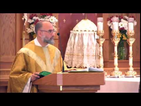 Nov 09 - Homily: Lateran, Symbol of Christ, Mary and Unity