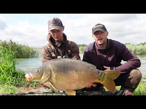 Tygodniowa zasiadka i 60 karpi na macie.