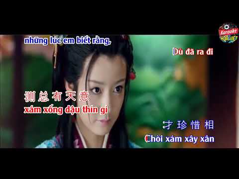 HOA VIỆT KARA | Karaoke Tình Nhạt Phai - Lưu Đức Hoà