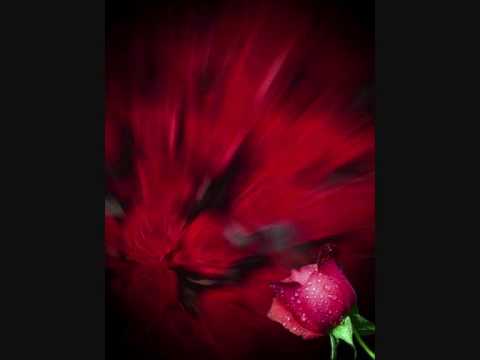 Dj ÖzGüR & Di2kat & Harby Kiz &  Mc Serok & Kanflex  '' Sen BenimSin '' 2010