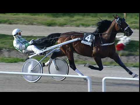 Napoli Trotto 19/03/2023 - 5ª corsa