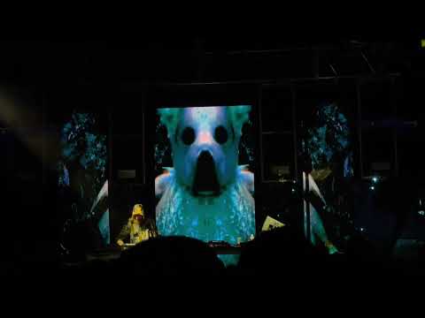 Yheti (Sunrise Set) @ Dancefestopia 2022 - Weird Trumpet VIP + more (DFT 2022 Day 2)