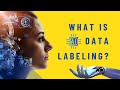 What is Data Labeling? Its Types, Role, Challenges and Solutions | AI Data Labeling Services
