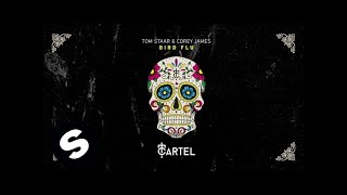 Tom Staar & Corey James - Bird Flu