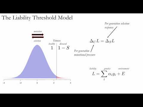 Berg: Population genetic models for highly polygenic disease