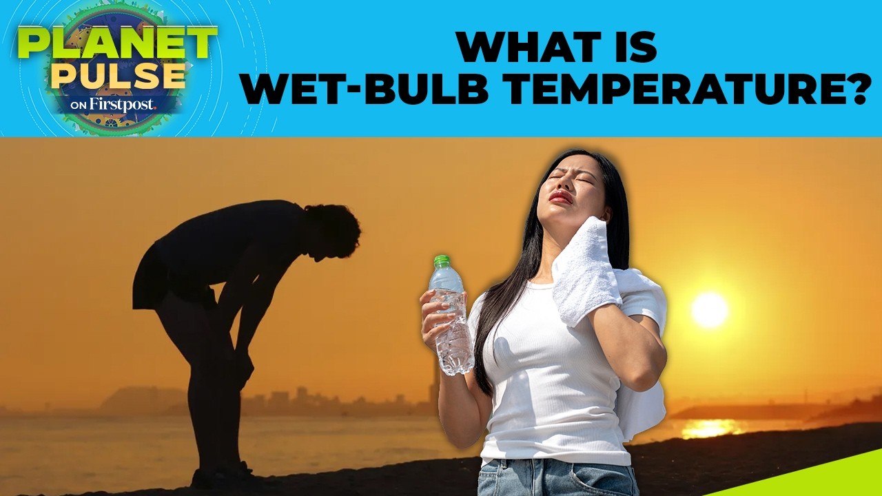 Deadly Wet-Bulb Temperature: The Heat Threshold Humans Cannot Cross  | Planet Pulse