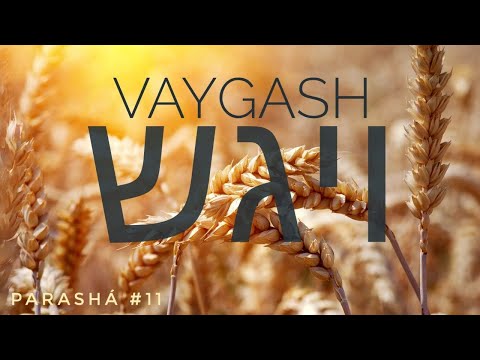 Parashá #11. Vaygash. Y se acercó.