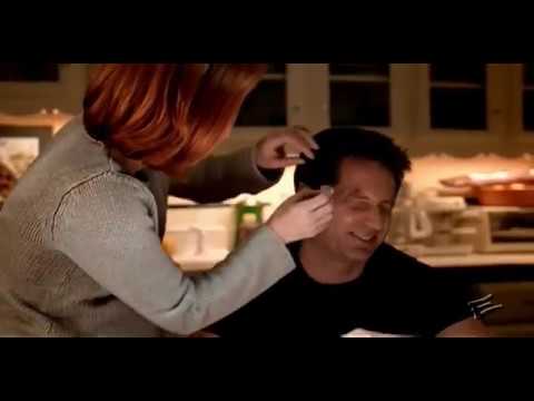 Mulder and Scully | MSR Defined | X-Files
