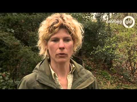 GLD VANDAAG 18 april 2016 - Omroep Gelderland