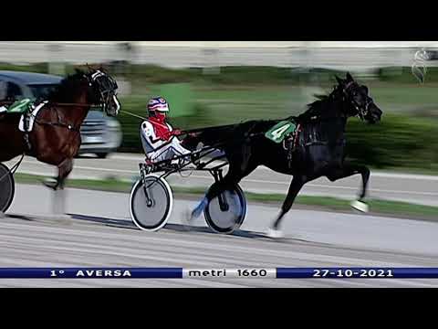 Aversa trotto 27 Ottobre 2021 - 1° Corsa