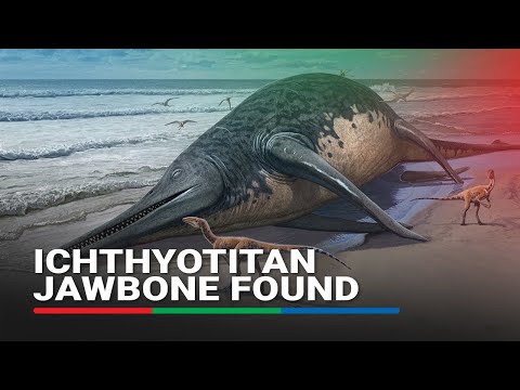 Jawbone of gigantic marine reptile found found in England