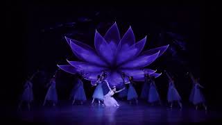 クラウドファンディングプロジェクト：ウクライナから避難してきたプロバレエダンサーと日本人バレエダンサー達の未来へのコンサート開催に向けて