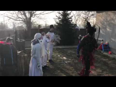 ,,Harapii" din Cărăpcești.