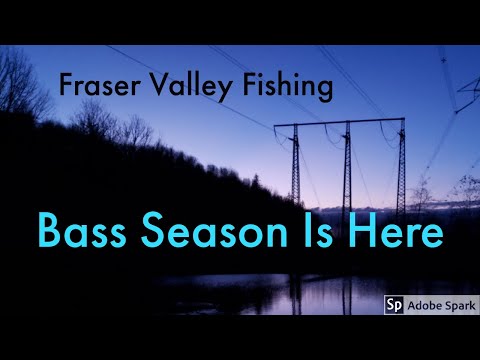 Bass Season Is Here at Fishtrap Creek!