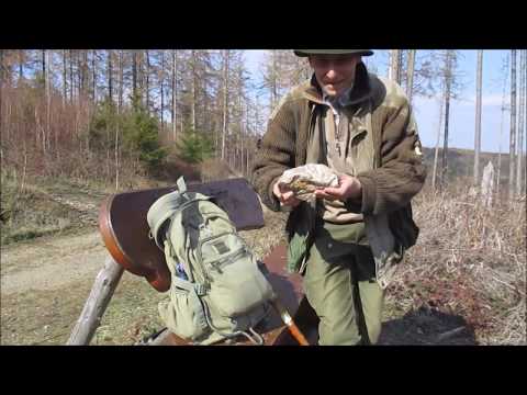 Vergessener Bergbau; - Die Goslarsche Gleie