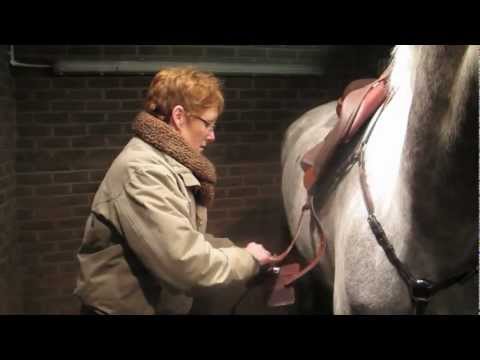 YouTube video about: How to fit a breastplate on a horse?